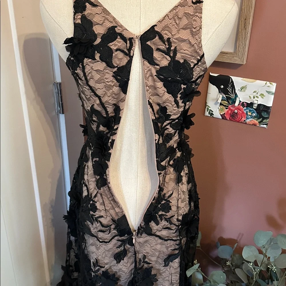 Dress the Population Sidney Black Floral Lace bodycon sheer lace XXS Maxi Dress - Picture 12 of 16